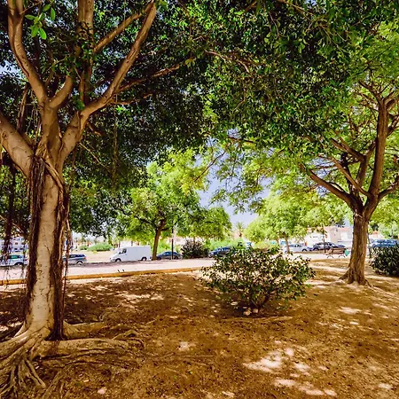 Apartamento San Miguel 3-3 Torrevieja